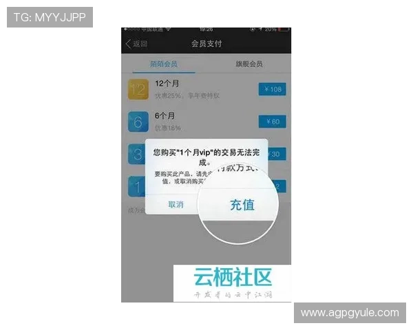 PG电子会员充值攻略帮助你轻松实现账户资金快速充盈